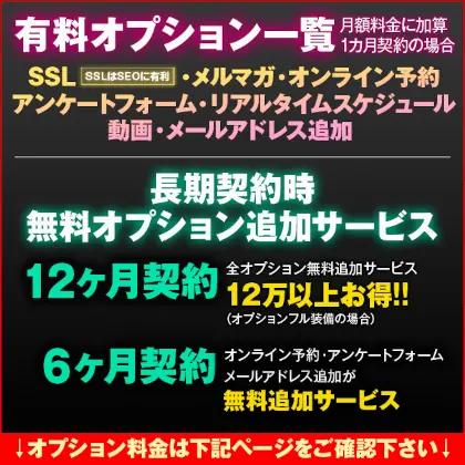 風俗ホームページ制作オプション