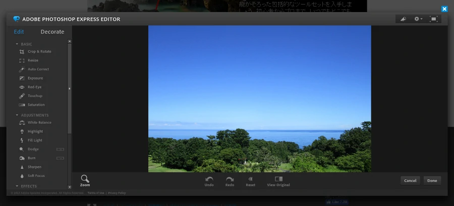 アップロードされた