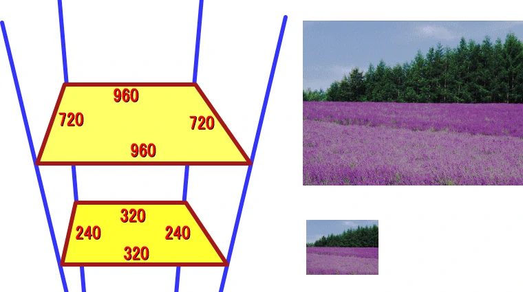 アクセプト比(縦横比)