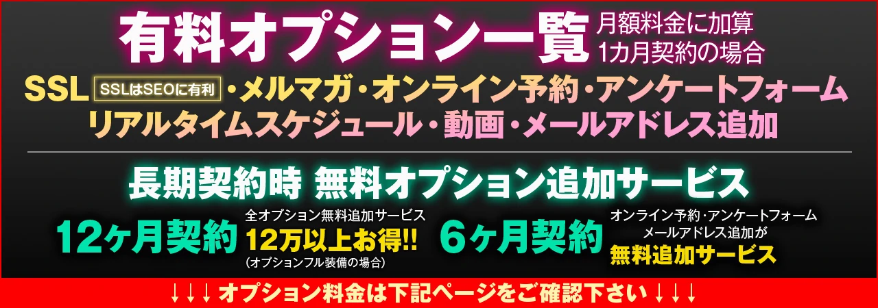 有料オプション