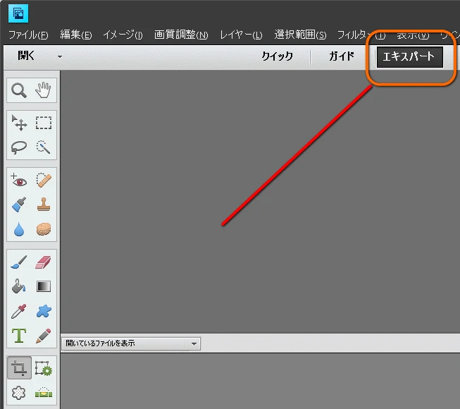 エキスパート
